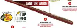 Cabela's Rapala CrushCity Customs Janitor Worm offer