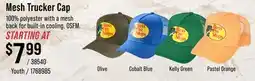 Cabela's Mesh Trucker Cap offer