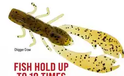 Cabela's Berkley PowerBait Chigger Craw offer