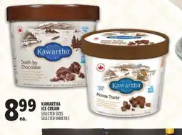 Metro Kawartha ice cream offer