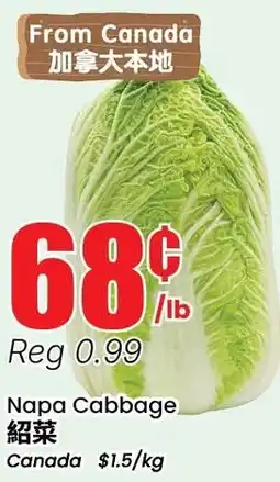 Btrust Supermarket Napa Cabbage offer