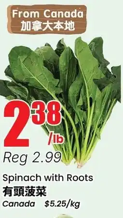Btrust Supermarket Spinach with Roots offer