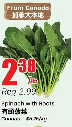 Btrust Supermarket Spinach with Roots offer