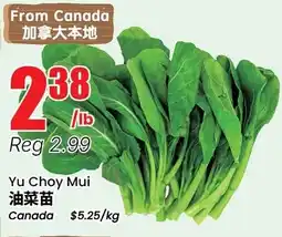 Btrust Supermarket Yu Choy Mui offer