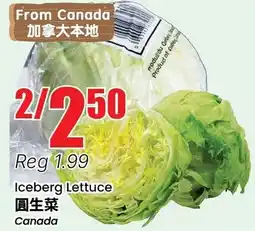 Btrust Supermarket Iceberg Lettuce offer