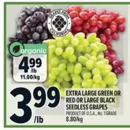 Metro Extra large green or red or large black seedless grapes offer
