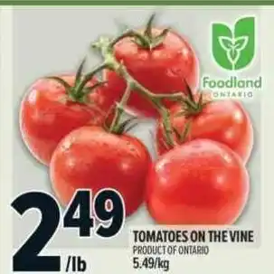 Metro Tomatoes on the vine offer