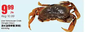 Live Vancouver Crab (Single Claw)