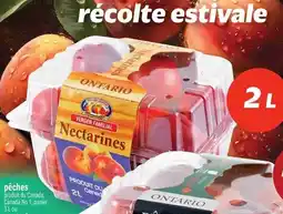 Metro Nectarines offer