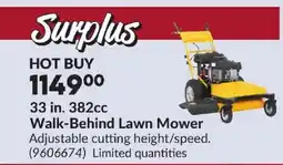 Princess Auto Walk-Behind Lawn Mower offer