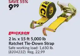 Princess Auto ERICKSON 2 in. x 15 ft 5,000 lb Ratchet Tie-Down Strap offer