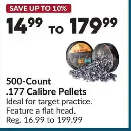 Princess Auto 500-count .177 calibre pellets offer