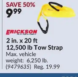 Princess Auto ERICKSON 2 in. x 20 ft 12,500 lb Tow Strap Max. vehicle offer