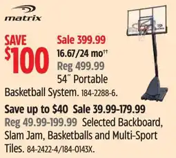 Canadian Tire 54 Portable Basketball System offer