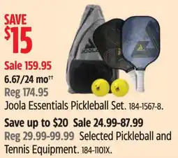 Canadian Tire Joola Essentials Pickleball Set offer
