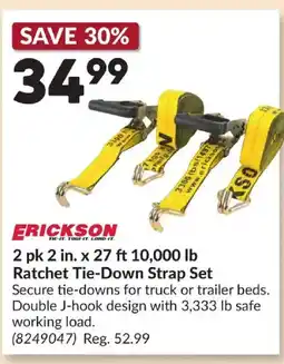 Princess Auto ERICKSON 2 pk 2 in x 27 ft 10,000 lb Ratchet Tie-Down Strap Set offer
