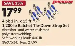 Princess Auto ERICKSON 4 pk 1 in. x 15 ft 1,200 lb Ratchet Tie-Down Strap Set offer