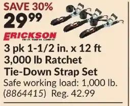 Princess Auto ERICKSON 3 pk 1-1/2 in. x 12 ft 3,000 lb Ratchet Tie-Down Strap Set offer