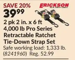 Princess Auto ERICKSON 2 pk 2 in. x 6 ft 4,000 lb Pro Series Retractable Ratchet Tie-Down Strap Set offer