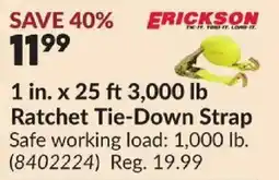 Princess Auto ERICKSON 1 in. x 25 ft 3,000 lb Ratchet Tie-Down Strap offer