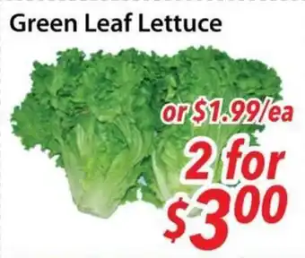 Bestco Food Mart Green Leaf Lettuce offer