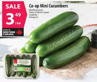 Co-op Co-op Mini Cucumbers offer