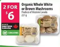 Co-op Organic Whole White or Brown Mushrooms offer
