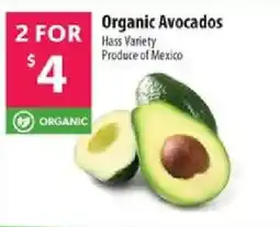 Co-op Organic Avocados offer