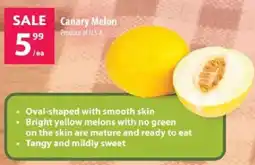 Co-op Canary Melon offer