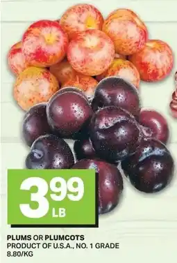 Freshmart Plums or plumcots offer