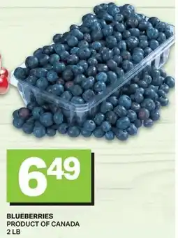 Freshmart Blueberries offer