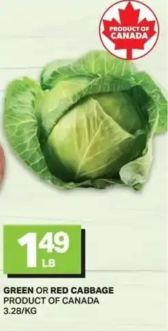 Freshmart Green or red cabbage offer