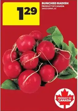 Real Canadian Superstore Bunched Radish offer