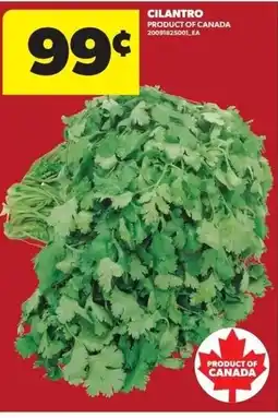 Real Canadian Superstore Cilantro offer