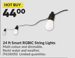 Princess Auto 24 ft Smart RGBIC String Lights offer