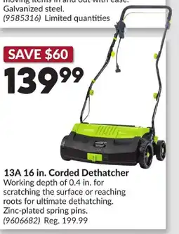 Princess Auto 13A 16 in. Corded Dethatcher offer