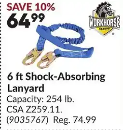 Princess Auto Shock-Absorbing Lanyard offer