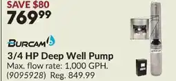 Princess Auto BURCAM 3/4 HP Deep Well Pump offer