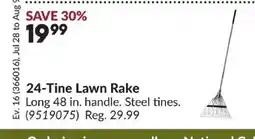 Princess Auto 24-Tine Lawn Rake offer