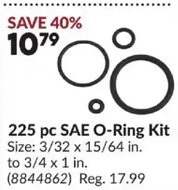 Princess Auto 225 pc SAE O-Ring Kit offer