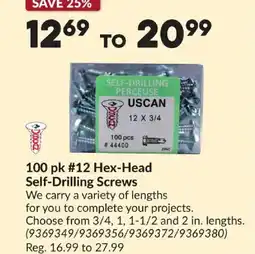 Princess Auto Hex-Head Self-Drilling Screws offer