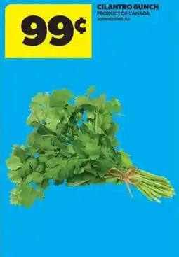 Real Canadian Superstore Cilantro bunch offer