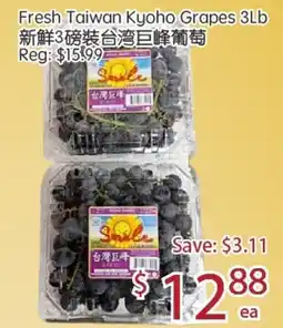 Sunny Food Mart Fresh Taiwan Kyoho Grapes offer