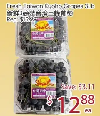Fresh Taiwan Kyoho Grapes