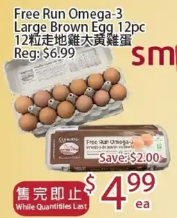 Sunny Food Mart Free Run Omega-3 Large Brown Egg 12pc offer