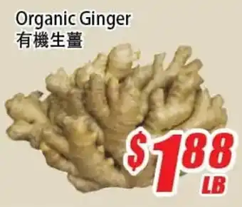 WinCo Food Mart Organic Ginger offer