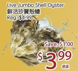 Sunny Food Mart Live Jumbo Shell Oyster offer