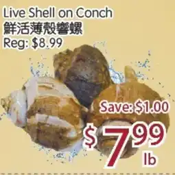 Sunny Food Mart Live Shell on Conch offer