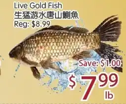 Sunny Food Mart Live Gold Fish offer