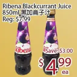 Sunny Food Mart Ribena Blackcurrant Juice offer